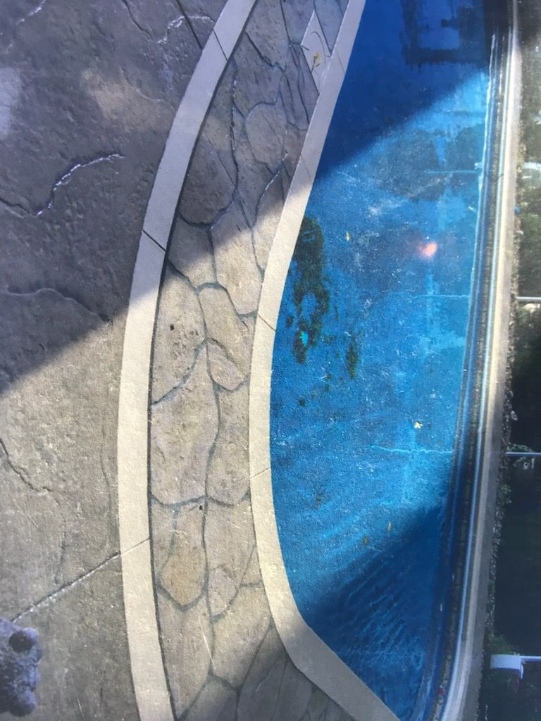 Pool with blue water, surrounded by stone pavers and a gray patio.