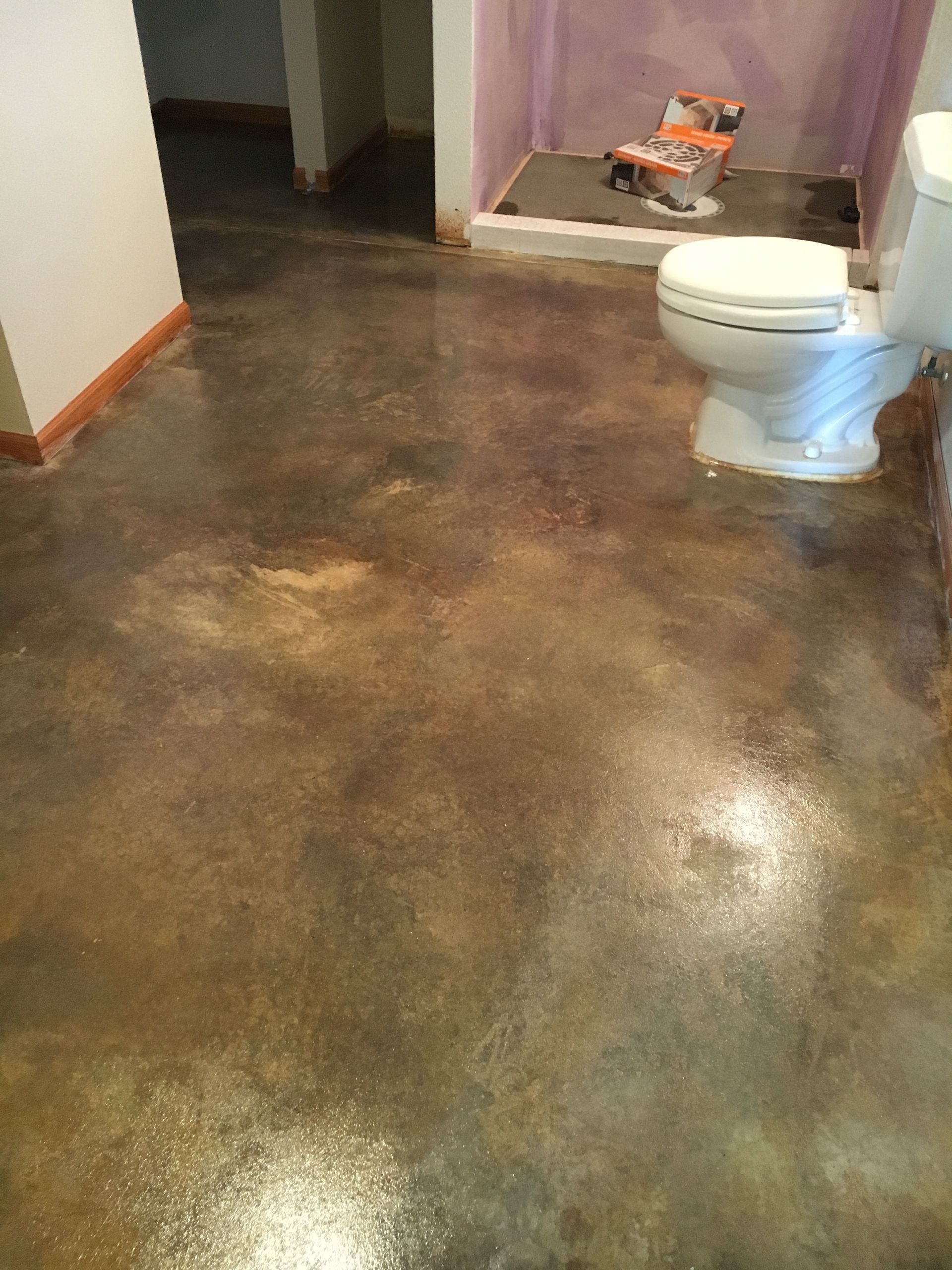Bathroom with stained concrete floor, toilet, and unfinished walls.