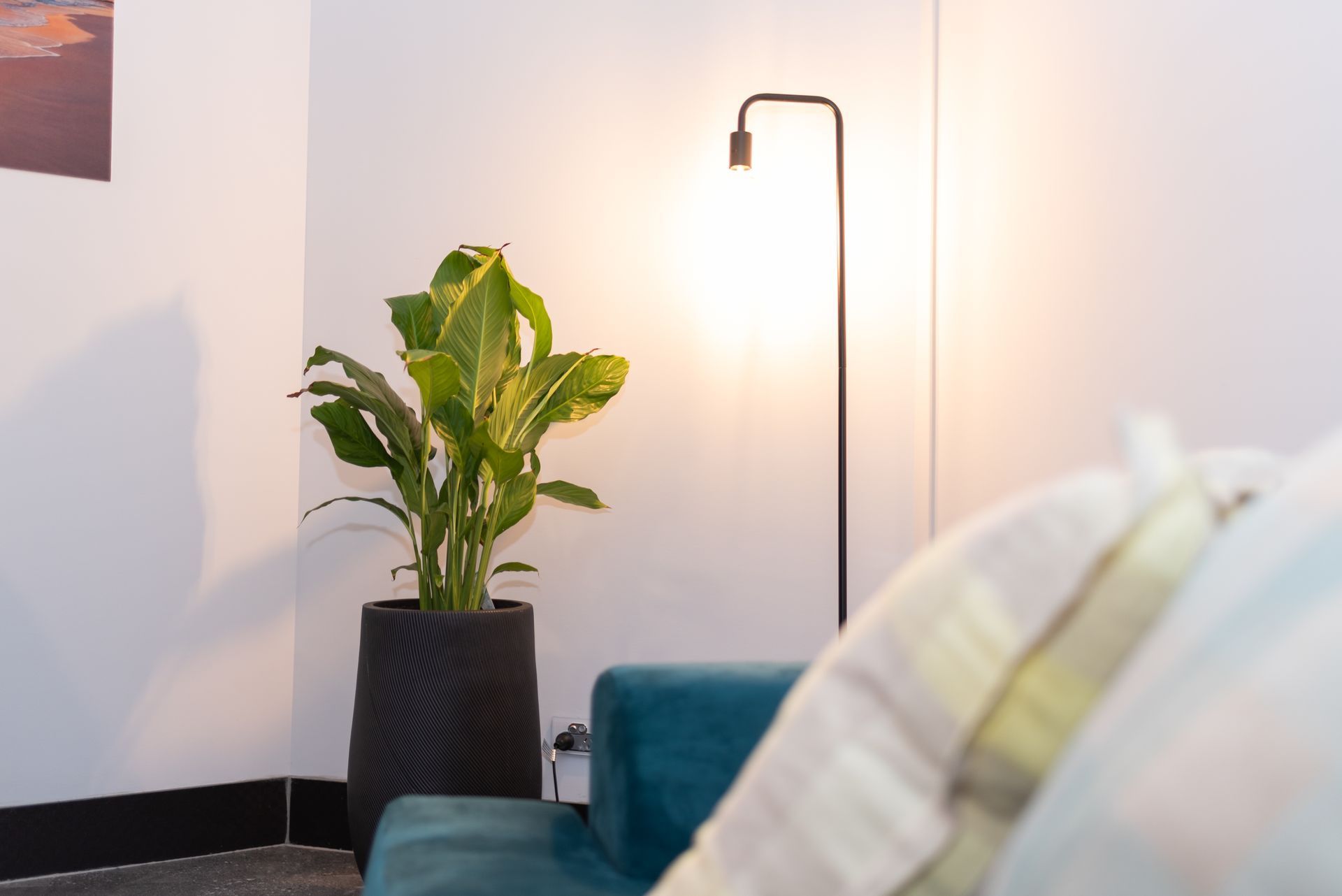 A living room with a couch a lamp and a potted plant