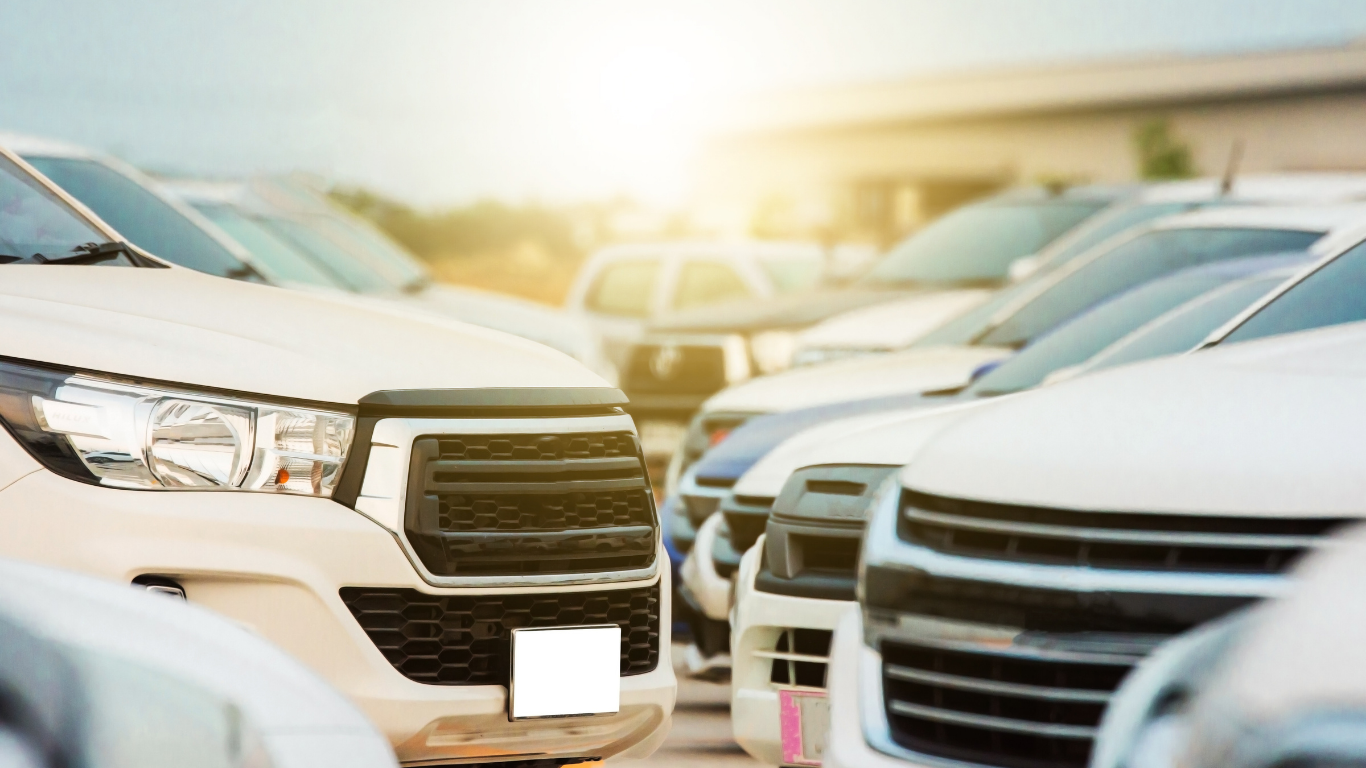 White cars parked in a lot, sunny outdoor setting.