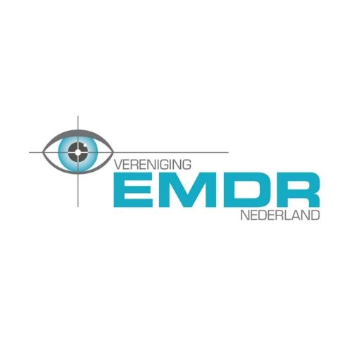 Logo van EMDR Nederland, blauw oog met doelwit, turquoise tekst