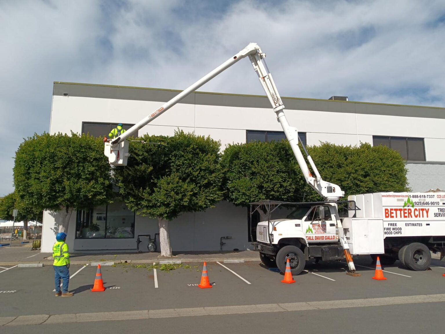 Truck with lift trimming bushes in front of a building. Worker in lift. Orange cones on parking lot.