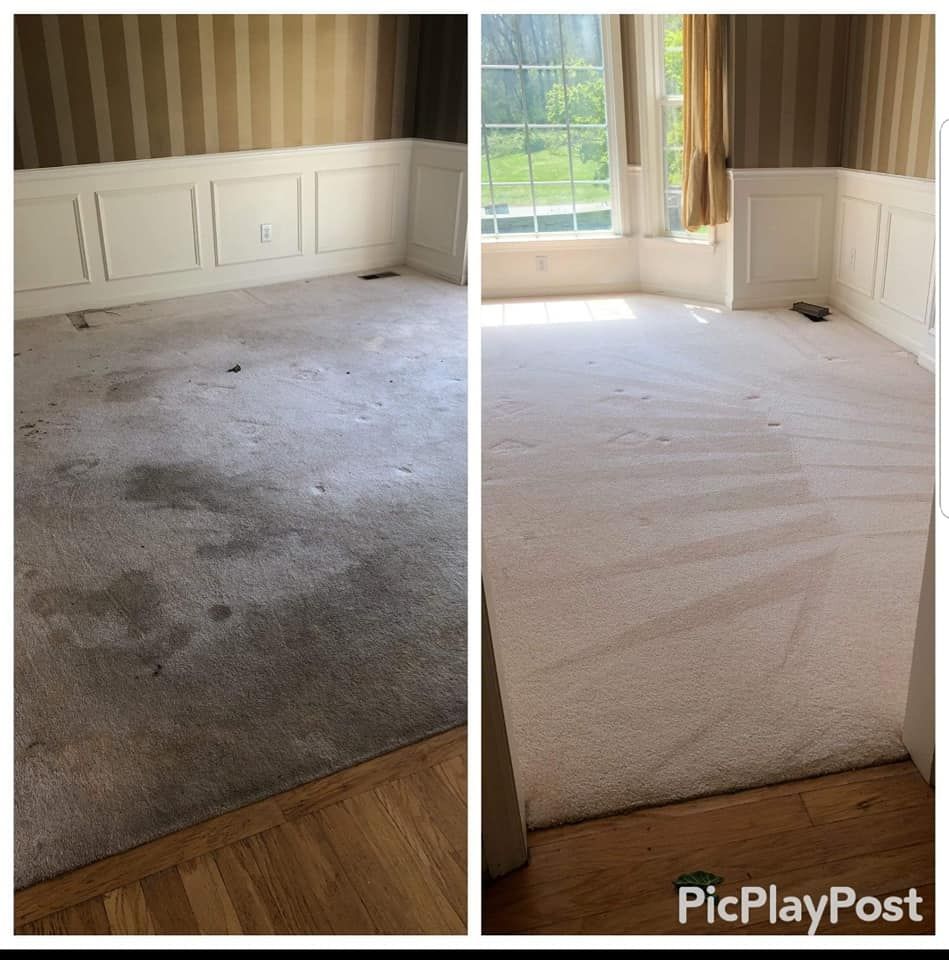 Before and after of a room's carpet cleaning. Gray, stained carpet transforms to a clean, light tan.