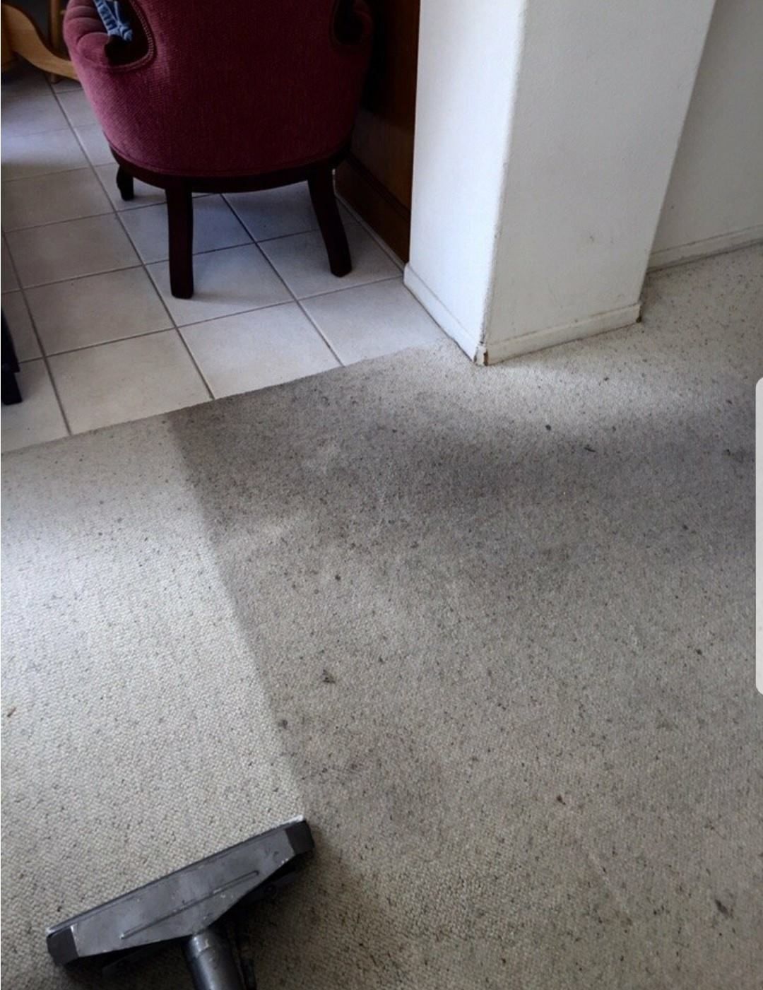 Vacuum cleaner cleaning a gray carpet, revealing the cleaned area. Tile floor and red armchair in the background.