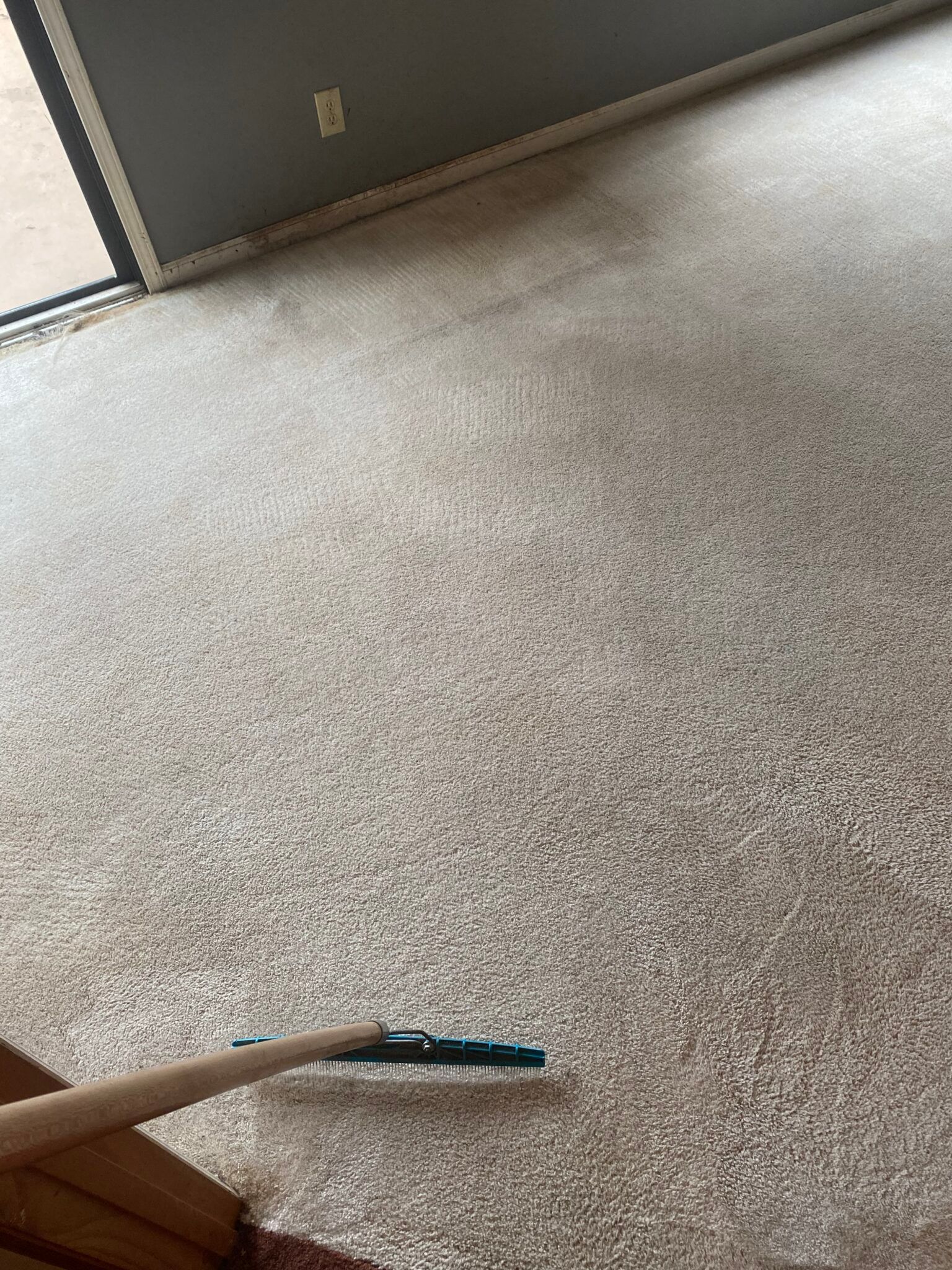 Carpet being swept with a rake; gray carpet and wall.