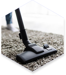 Vacuum cleaner head on a beige carpet, being used by a person.