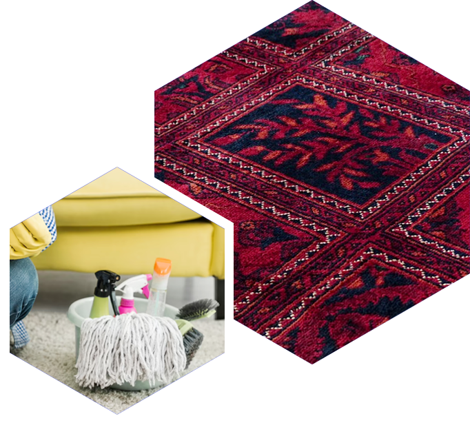 Bucket of cleaning supplies and mop next to a red and black patterned rug.