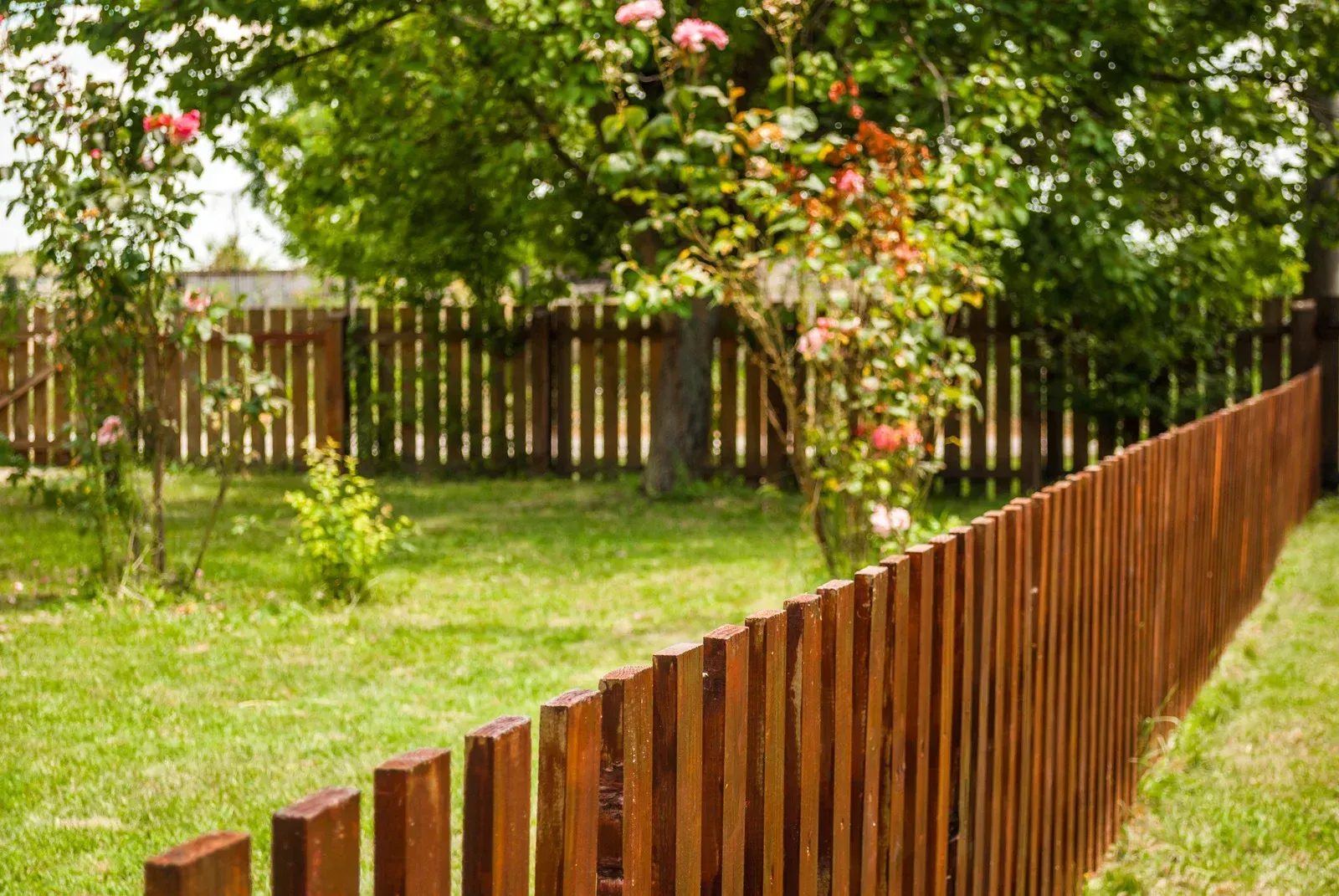 Wooden fence in a yard with green grass and trees.
