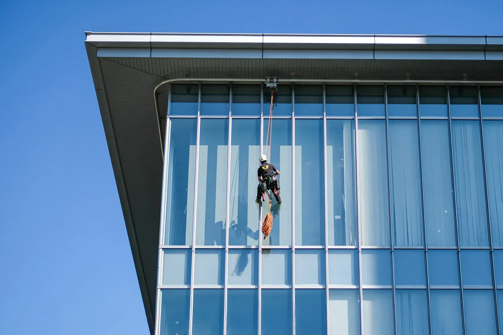 Window washer suspended on ropes cleaning a glass-walled building under a blue sky.