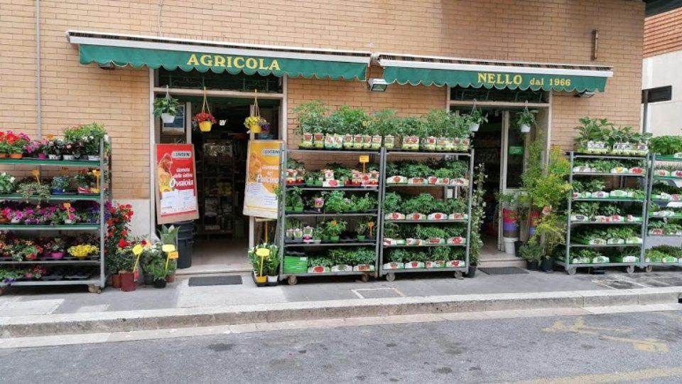 Esposizione di piante da orto