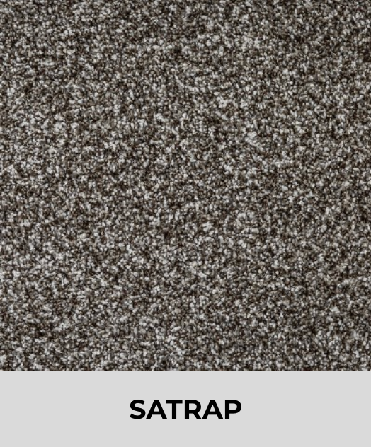 Textured Carpet Sample