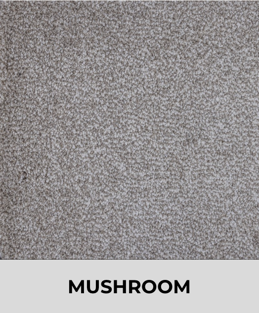 Textured Carpet Sample