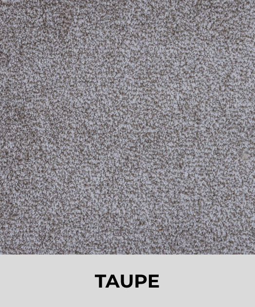 Textured Carpet Sample