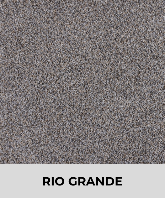 Textured Carpet Sample