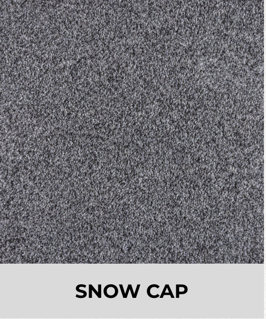 Textured Carpet Sample