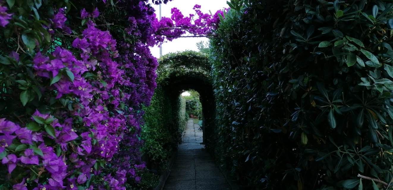 PULIVERDE GIARDINAGGIO