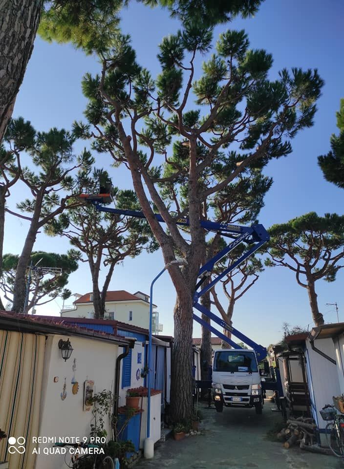 PULIVERDE GIARDINAGGIO