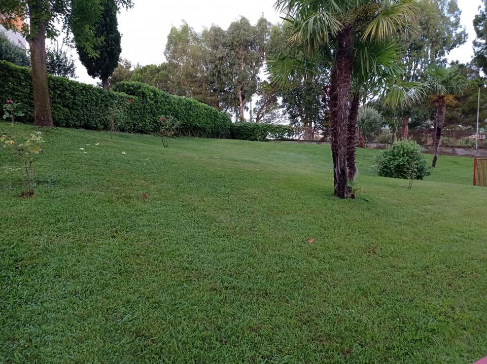 PULIVERDE GIARDINAGGIO