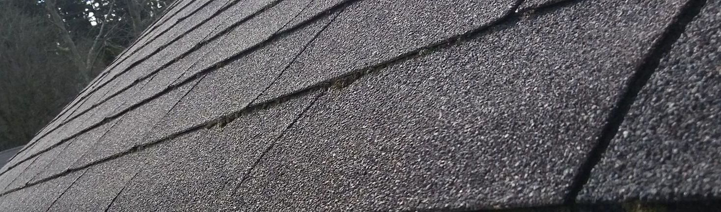 Debris blown off of a roof in Lacey, WA by Rainy Day Services