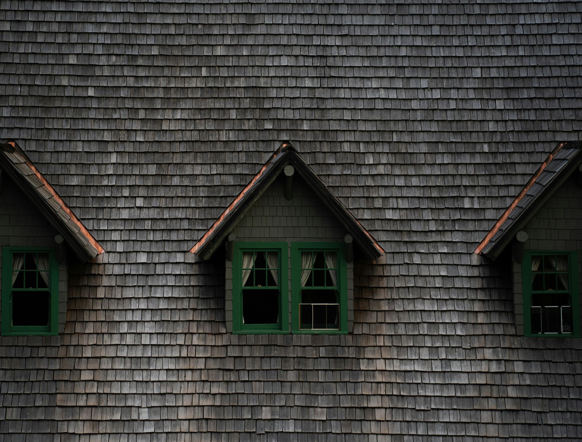 Moss prevention in Lacey, WA applied by Rainy Day Services