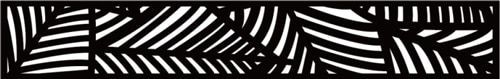 Une image en noir et blanc d'un imprimé zèbre.