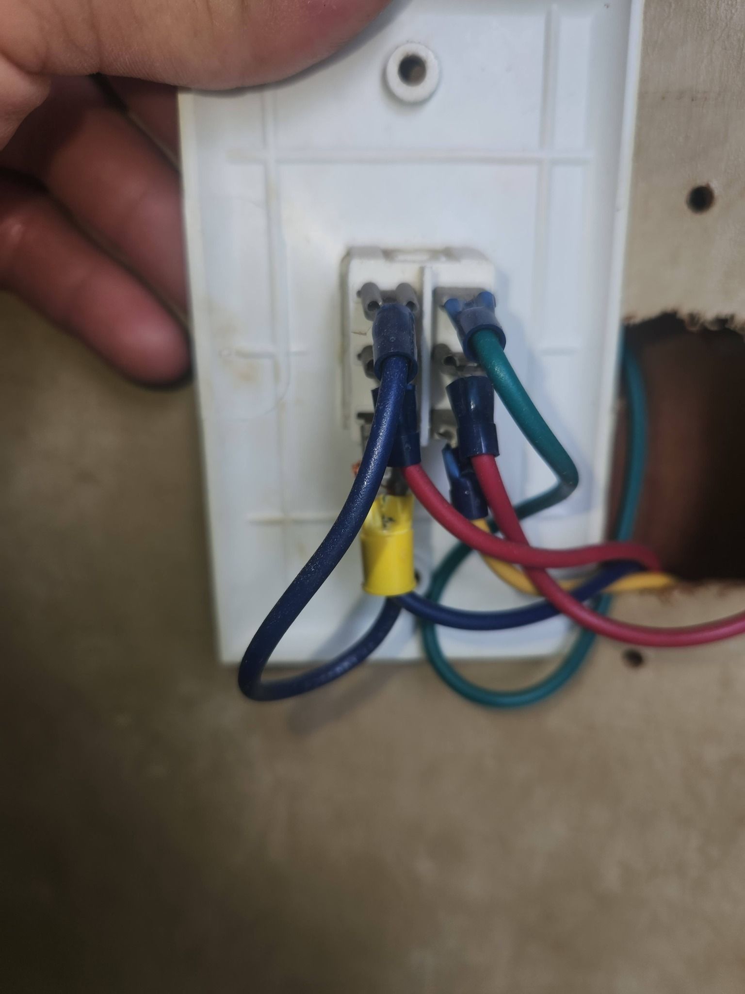 Close-up of exposed electrical wiring connected to a white wall plate, with blue, red, and green wires.