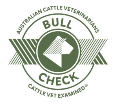 bull check logo