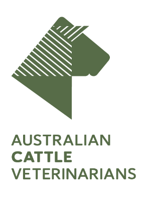 australian cattle veterinarians