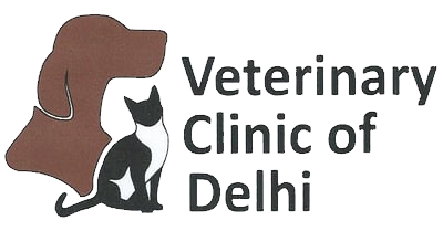 Veterinary Clinic of Delhi