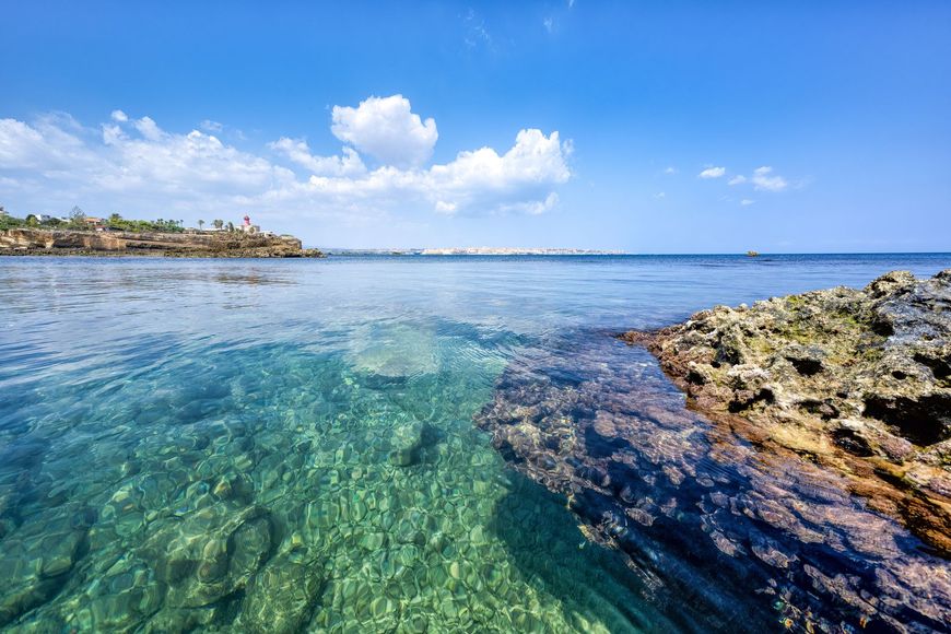 Club sandwich tagliato in diagonale e fissato con stuzzicadenti, condito con salsa gialla su un piatto bianco.
