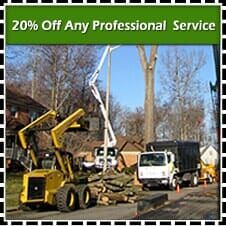 20% Off Any Professional Service Coupon — Chesapeake, VA — Scott Lanes Tree Service
