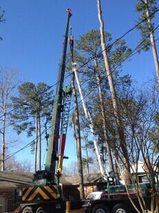 Tree Removal — Chesapeake, VA — Scott Lanes Tree Service
