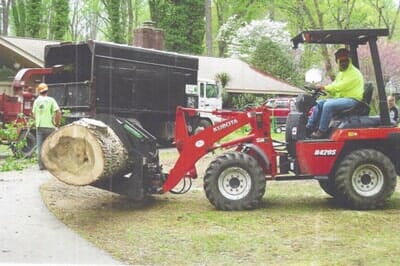 Using Tree Removal Machine — Chesapeake, VA — Scott Lanes Tree Service