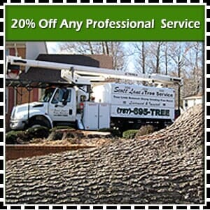 20% Off Service Coupon — Chesapeake, VA — Scott Lanes Tree Service