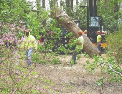 Snow Removal — Chesapeake, VA — Scott Lanes Tree Service