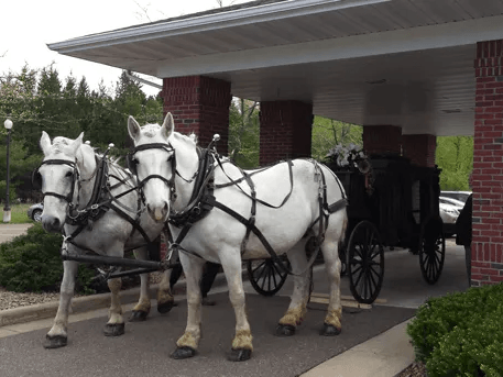 Two white horses are pulling a black carriage under a brick building.