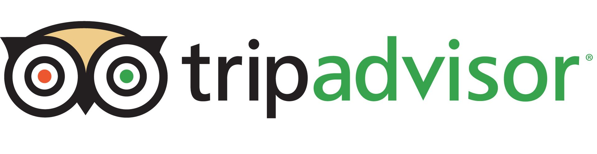 TripAdvisor logo with owl icon and green text.