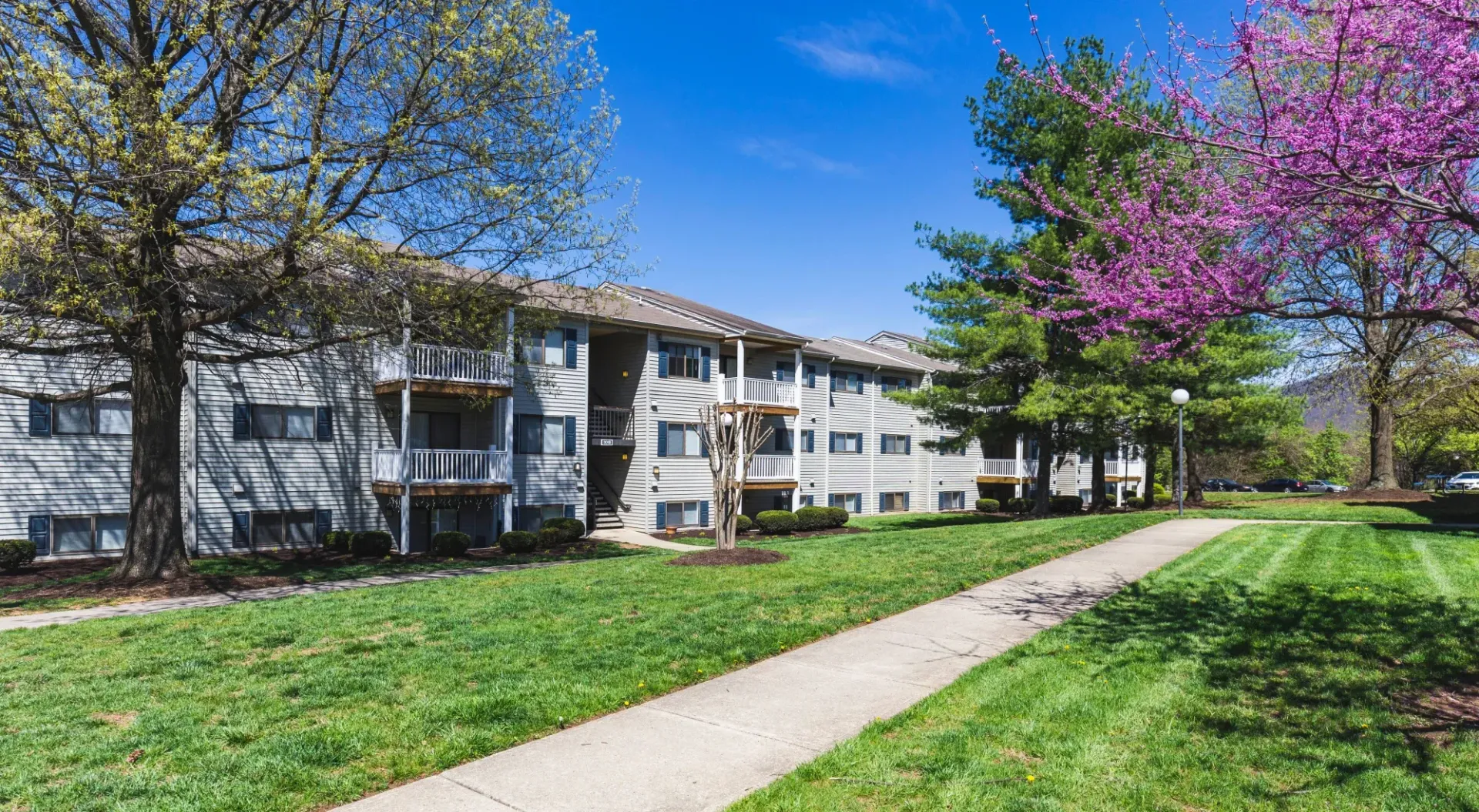 Apartment exterior at Hickory Woods in Roanoke, VA.