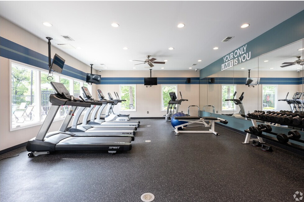 Gym with treadmills, elliptical, weights. Dark floor, blue and white trim, and large mirror.
