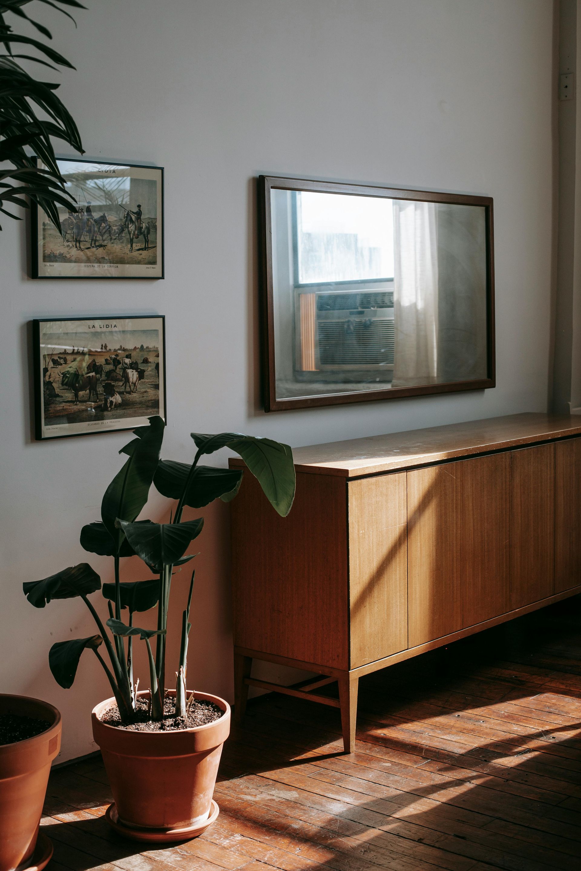 Wooden cabinet under a mirror on a white wall, with framed art and a potted plant.
