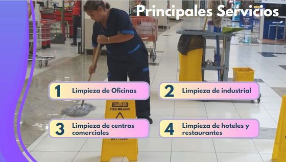 Limpieza profesional
