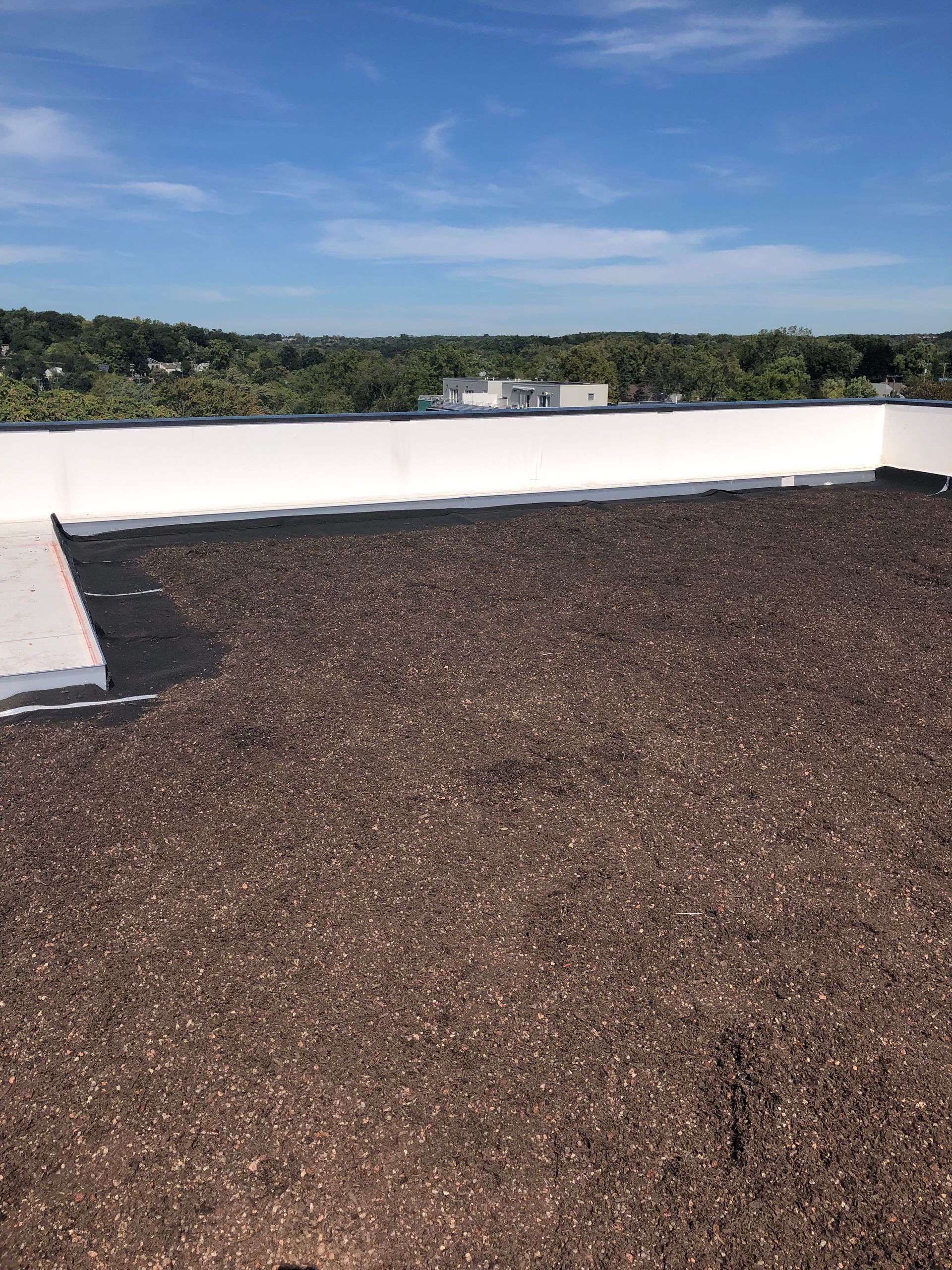 FLAT ROOFS
