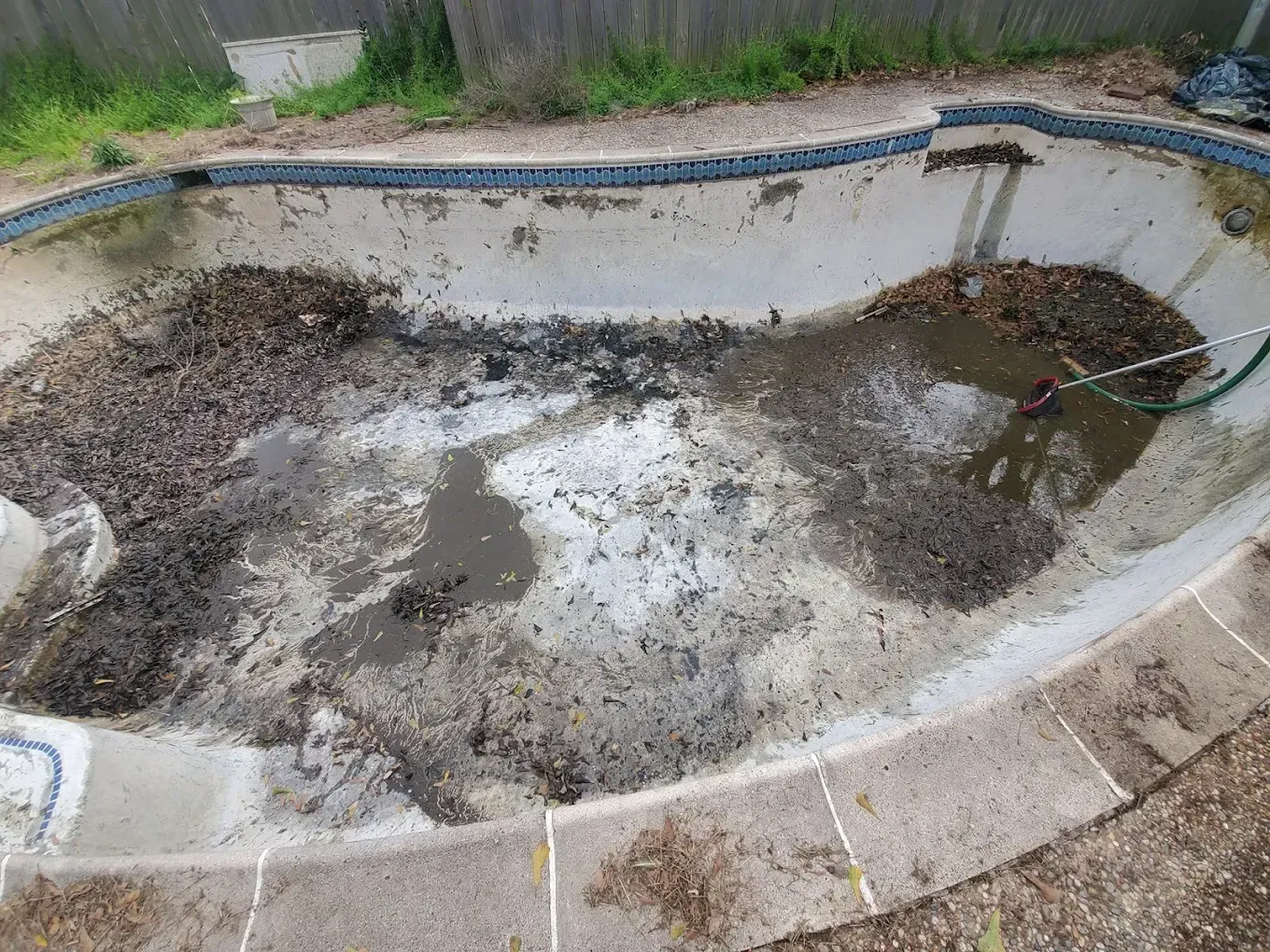 A dirty swimming pool with a hose in it.