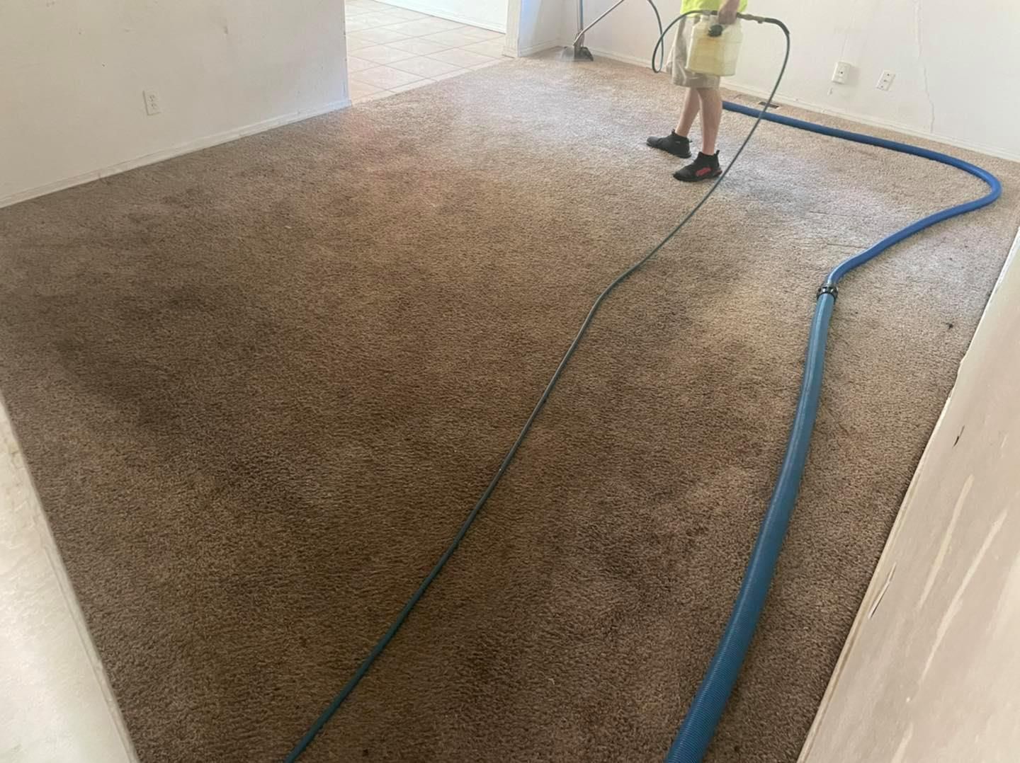 Before Cleaning Carpet