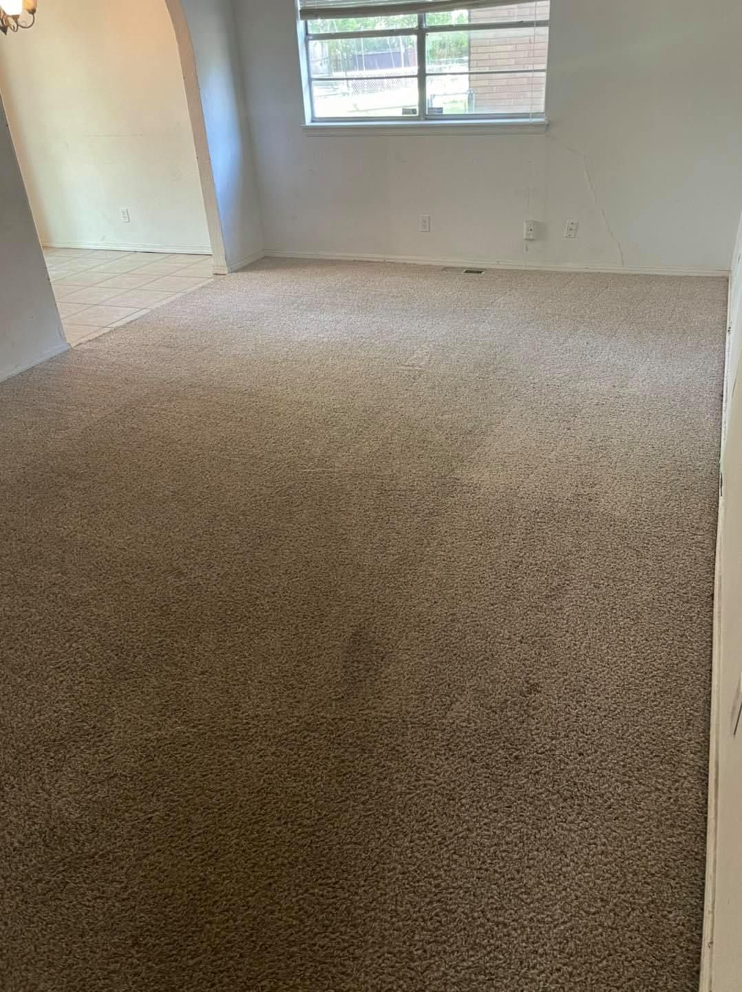 After Cleaning Carpet