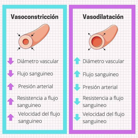 ¿Qué es el Choque Térmico? ¿Es Peligroso y Podemos Prevenirlo?