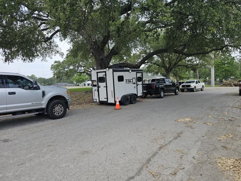 Several trucks parked on a road, with a white trailer, under large trees.