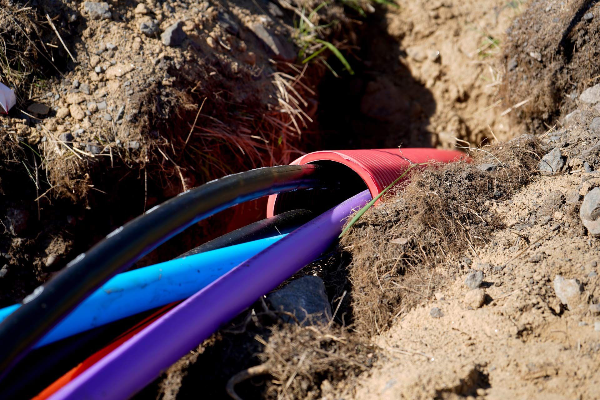 Cables, black, blue, purple, red, emerging from a red conduit in a dirt trench.
