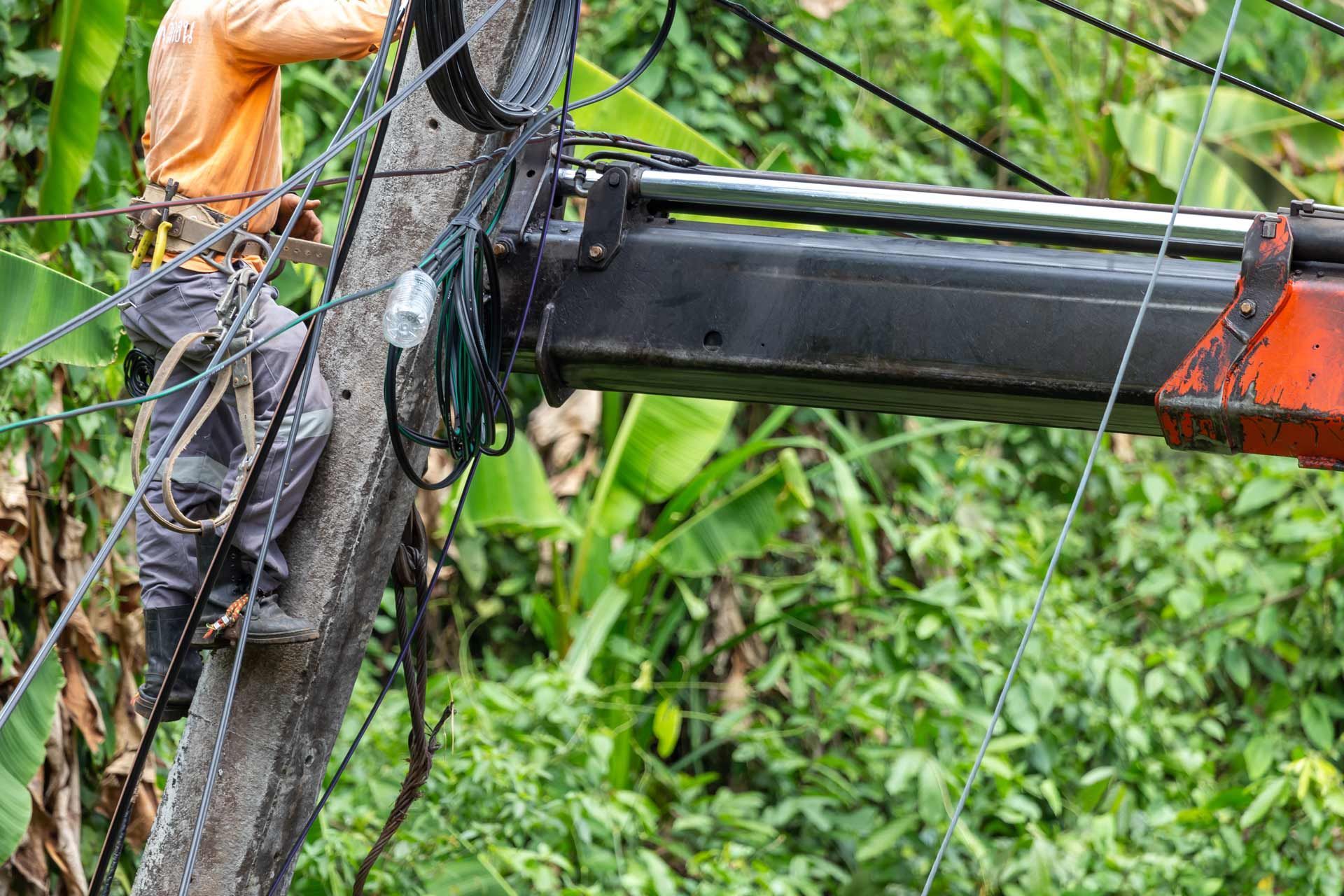 Lineman working on power lines, orange shirt, utility truck, and lush green foliage.
