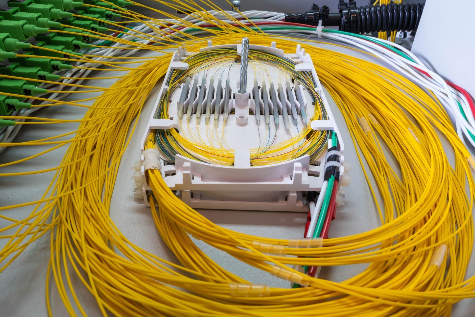 Fiber optic cables in a white enclosure, with yellow and other colored wires.